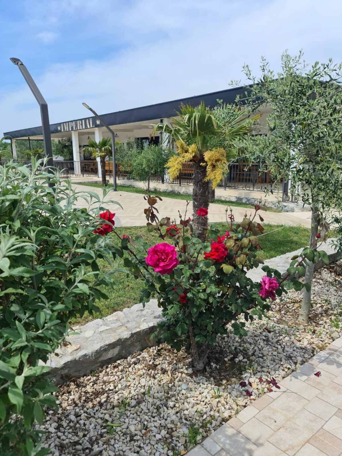 Imperial Family Resort Ülgün Dış mekan fotoğraf